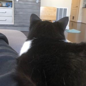 Meet your Posher, Noah